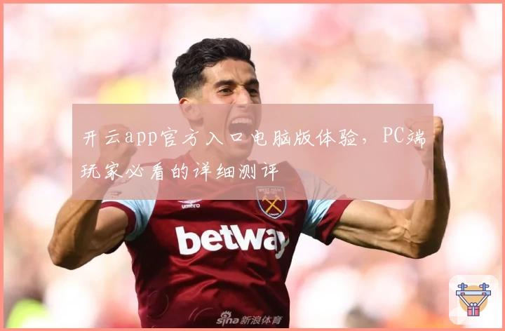 开云app官方入口电脑版体验，PC端玩家必看的详细测评