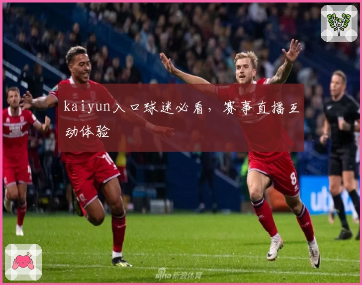 kaiyun入口球迷必看，赛事直播互动体验