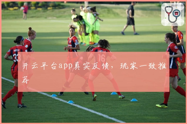 开云平台app真实反馈，玩家一致推荐