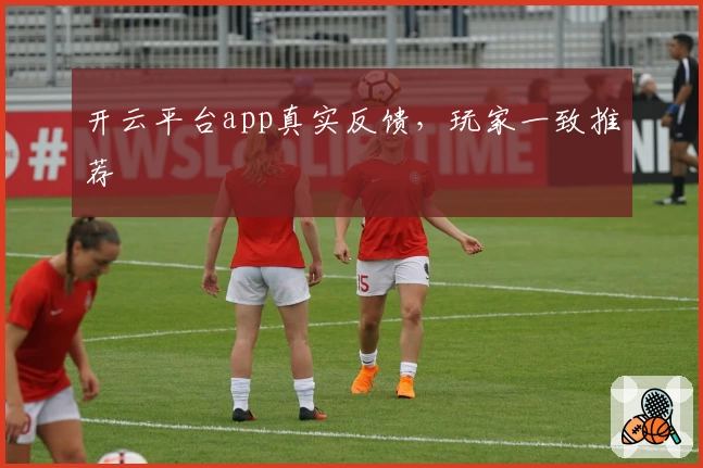 开云平台app真实反馈，玩家一致推荐