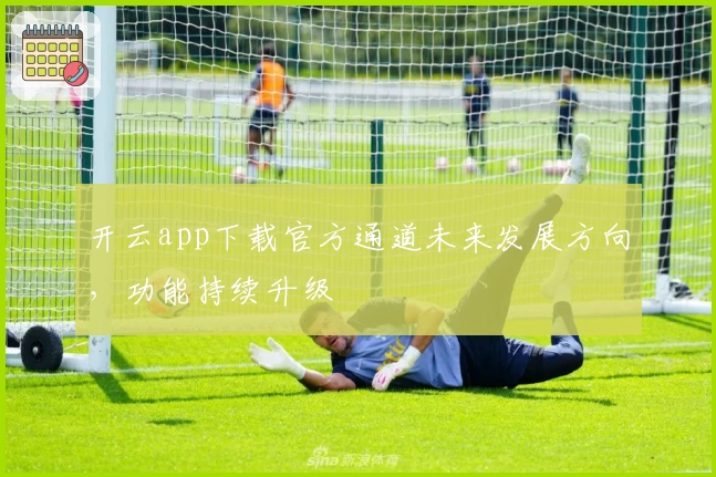 开云app下载官方通道未来发展方向，功能持续升级